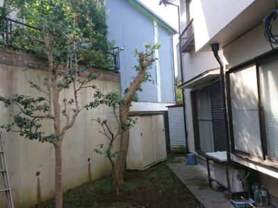 横浜市港北区菊名 剪定 草刈り