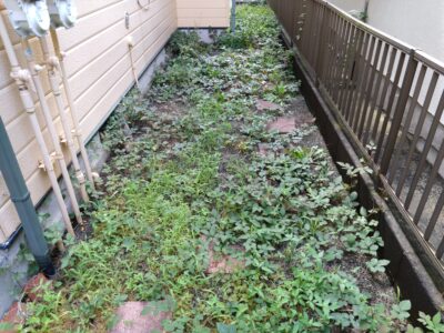 横浜市保土ケ谷区和田 除草作業