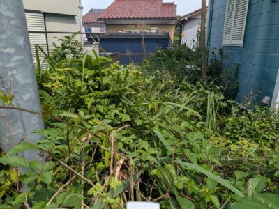 横浜市中区豆口台 草刈り